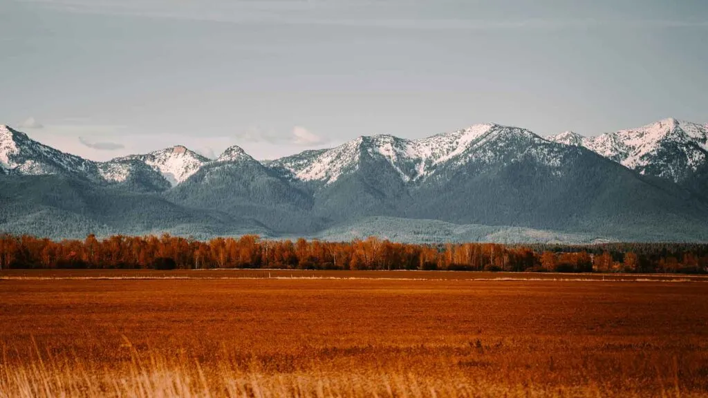 land Real Estate Property Search