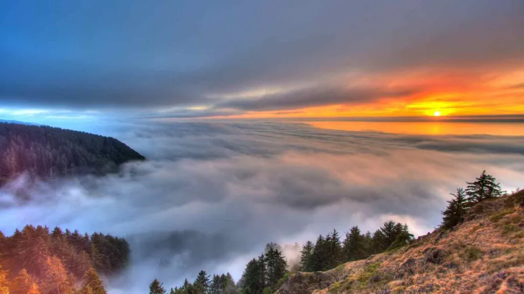 Sunset over foggy forest landscape Deed
